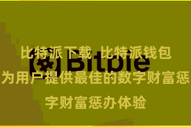 比特派下载  比特派钱包起劲于为用户提供最佳的数字财富惩办体验